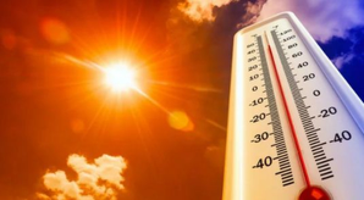 राजस्थान में भीषण गर्मी से 8 लोगों की मौत, 48.8 डिग्री तापमान के साथ बाड़मेर देश में सबसे गर्म