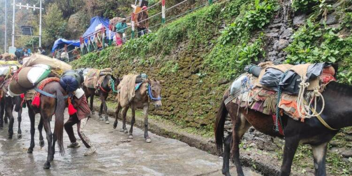 केदारनाथ धाम यात्रा में घोड़ा-खच्चर संचालकों द्वारा यात्रियों को ढोने से निर्माण सामग्री की आपूर्ति में बाधा