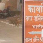 गाजीपुर नगर पालिका द्वारा चलाए जा रहे बंदर पकड़ने के अभियान की तस्वीर