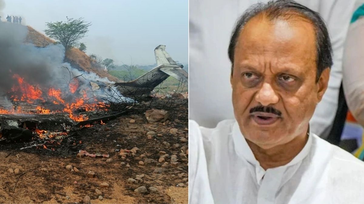 बारामती का शेर नहीं रहा