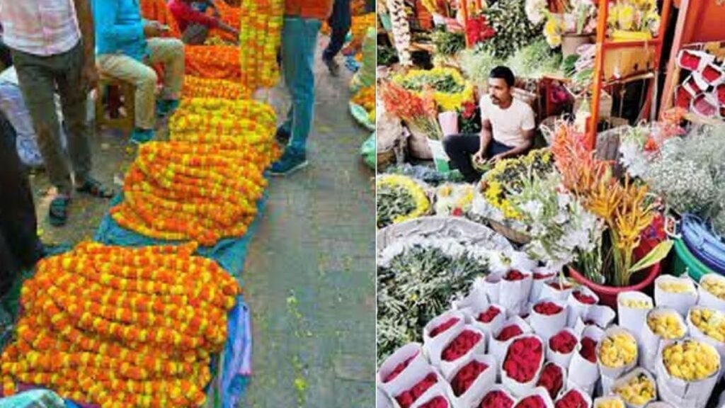 मलदहिया फूल मंडी किसानों के लिए पूरी तरह मुफ्त मलदहिया-इंग्लिशिया