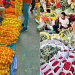 मलदहिया फूल मंडी किसानों के लिए पूरी तरह मुफ्त मलदहिया-इंग्लिशिया