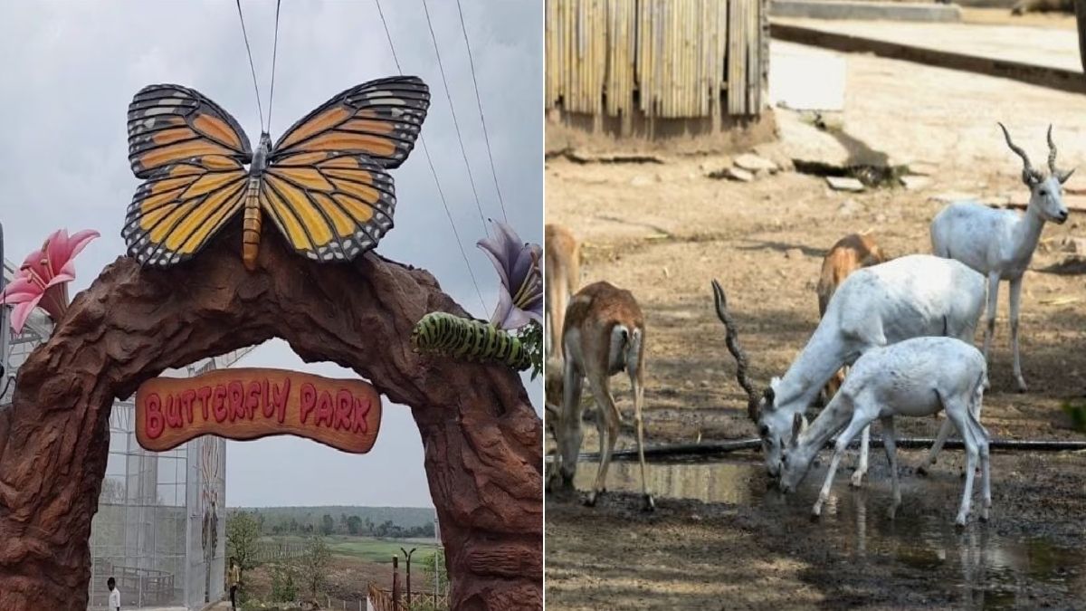 सारनाथ का मिनी जू बनेगा स्मार्ट जू