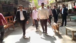 वाराणसी जिला न्यायालय में बम धमकी के बाद सुरक्षा जांच करते पुलिसकर्मी और डॉग स्क्वायड, कचहरी परिसर में तलाशी अभियान