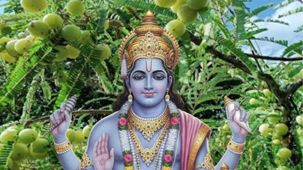 आमलकी और रंगभरी एकादशी