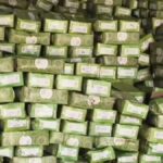 कानपुर में 'सेहत के सौदागरों' का पर्दाफाश