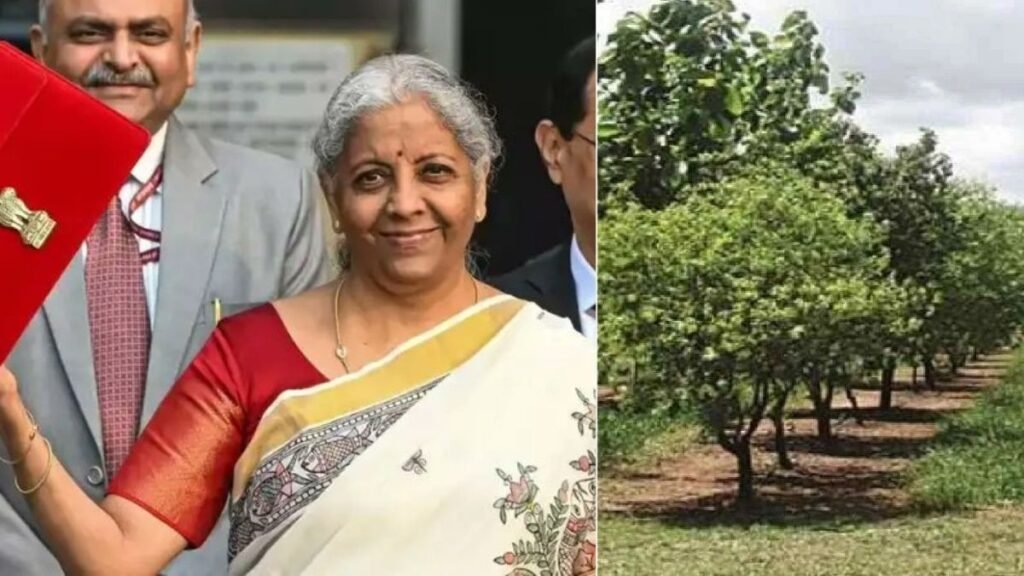 किसानों और गांव के लिए बड़ा बूस्टर बजट में खेती, पशुपालन और रोजगार पर फोकस