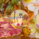 विजय देवरकोंडा और रश्मिका मंदाना की ग्रैंड वेडिंग