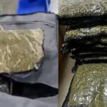 दिल्ली एयरपोर्ट पर 10 करोड़ से ज़्यादा का गांजा ज़ब्त