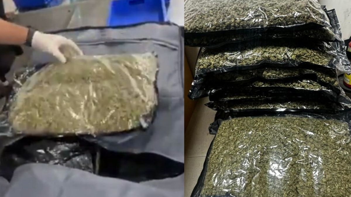 दिल्ली एयरपोर्ट पर 10 करोड़ से ज़्यादा का गांजा ज़ब्त