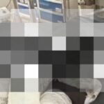 देवरिया के अहिल्यापुर स्टेशन के पास चलती ट्रेन से गिरा घायल यात्री