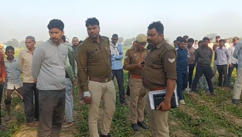 इटावा में पेड़ से लटके मिले नाबालिग प्रेमी युगल के शव, पुलिस जांच जारी