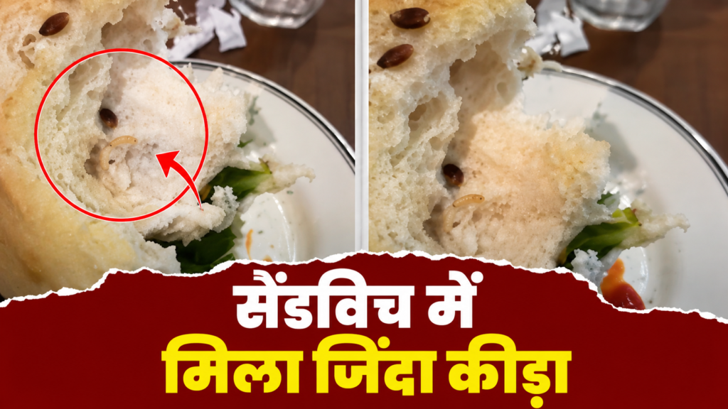 PAUL रेस्टोरेंट
