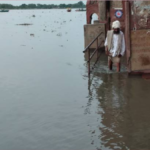 कानपुर