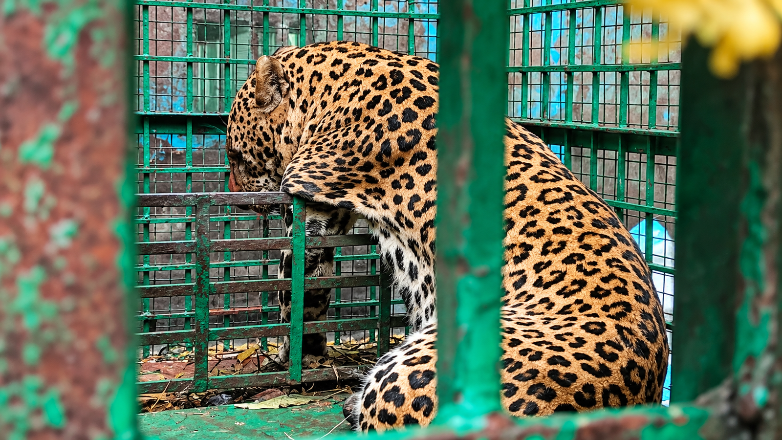 बहराइच