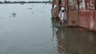 कानपुर