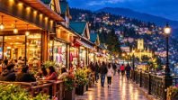 24-1-2