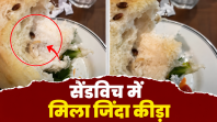PAUL रेस्टोरेंट