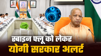 स्वाइन फ्लू